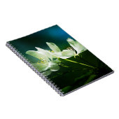 Apple Blossom - zwei Blume Notizblock (Rechte Seite)