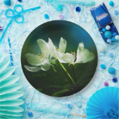 Apple Blossom - zwei Blume Pappteller (Party)