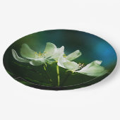 Apple Blossom - zwei Blume Pappteller (Schrägansicht)