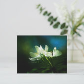 Apple Blossom - zwei Blume Postkarte (Stehend Vorderseite)
