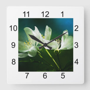 Apple Blossom - zwei Blume Quadratische Wanduhr