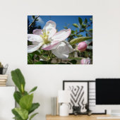APPLE BLOSSOMS Blume Art Prints Gerahmt Art Poster (Heimbüro)