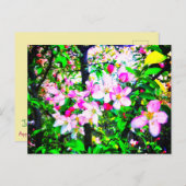 APPLE BLOSSOMS BRIGHT POSTCARD POSTKARTE (Vorne/Hinten)
