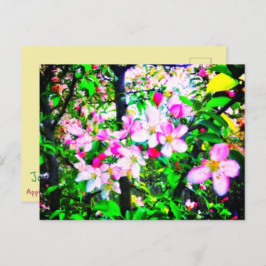 APPLE BLOSSOMS BRIGHT POSTCARD POSTKARTE (Vorne/Hinten)