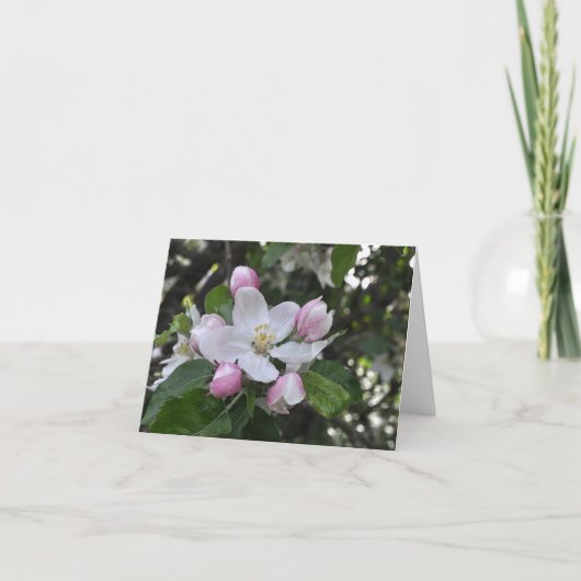 Apple Blossoms Danke Karte (Vorderseite)