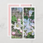 APPLE BLOSSOMS LESEZEICHEN POSTKARTE (Vorne/Hinten)
