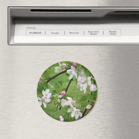 Apple Blossoms Magnet (In Situ (Geschirrspüler))