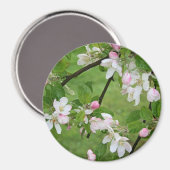 Apple Blossoms Magnet (Vorderseite/Rückseite)