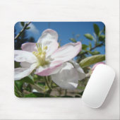 Apple BLOSSOMS MOUSEPADS Pink Blossoms Mousepad (Mit Mouse)