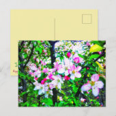 APPLE BLOSSOMS POSTCARD POSTKARTE (Vorne/Hinten)