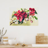 Apple Blossoms Poster (Küche)