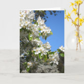 Apple blühen Gruß-Karte Karte (Gelbe Blume)