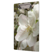 Apple blühen Klemmbrett (Links)