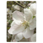 Apple blühen Klemmbrett (Rückseite)