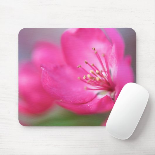 Apple blühen Mousepad (Mit Mouse)