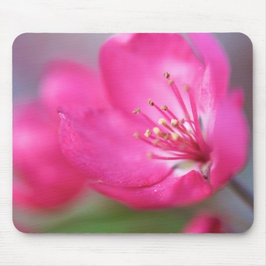 Apple blühen Mousepad (Vorne)