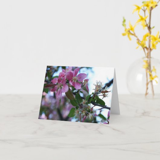 Apple blühen Notecard 1 Karte (Gelbe Blume)