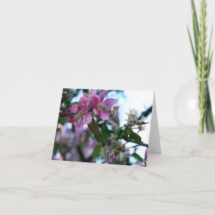 Apple blühen Notecard 1 Karte