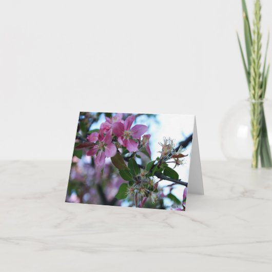 Apple blühen Notecard 1 Karte (Vorderseite)