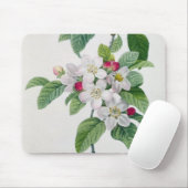 Apple blühen, von 'Les Choix DES plus Schönheiten Mousepad (Mit Mouse)