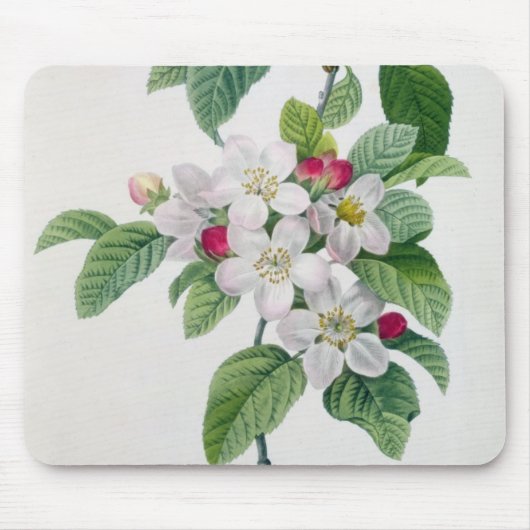 Apple blühen, von 'Les Choix DES plus Schönheiten Mousepad (Vorne)