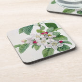 Apple blühen, von 'Les Choix DES plus Schönheiten Untersetzer (Linke Seite)