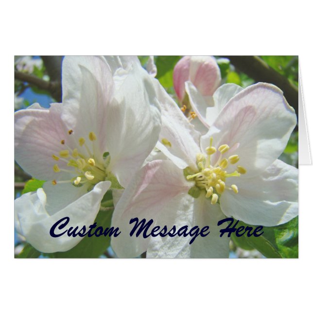 Apple blüht Blume Custom Cards Blüte (Vorderseite (Horizontal))