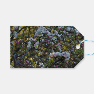 Apple-Blüten Geschenkanhänger