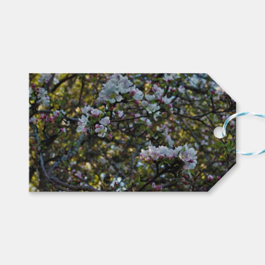 Apple-Blüten Geschenkanhänger (Vorderseite (Horizontal))
