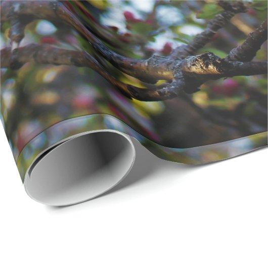 Apple-Blüten Geschenkpapier (Rolleneckpunkt)