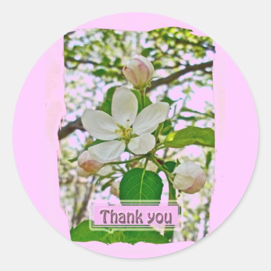 Apple Blüten Vielen Dank Stickers (Vorderseite)