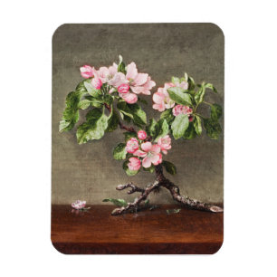 Apple-Blüten von Henri Fantin-Latour Magnet