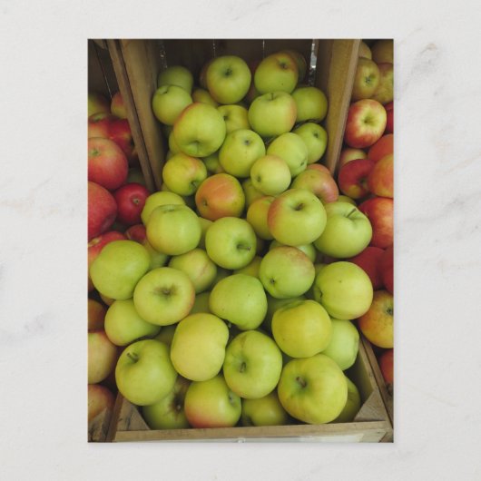 Apple Bundle Postkarte (Vorderseite)