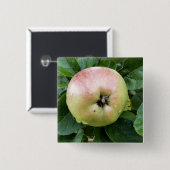 APPLE BUTTON (Vorne & Hinten)