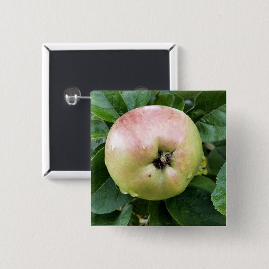 APPLE BUTTON (Vorne & Hinten)