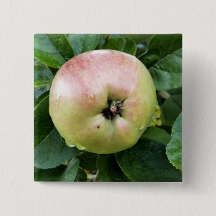APPLE BUTTON