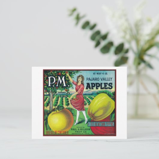 Apple Crate LabelWatsonville, CA Postkarte (Stehend Vorderseite)