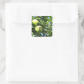 Apple Danke Quadratischer Aufkleber (Tasche)