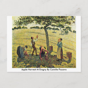 Apple Ernte bei Eragny von Camille Pissarro Postkarte