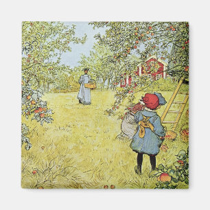 Apple ernten magnet