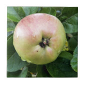 APPLE FLIESE (Vorderseite)