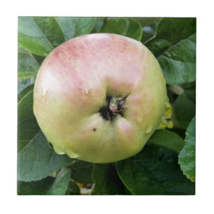 APPLE FLIESE