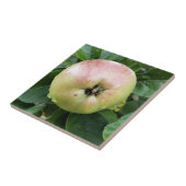 APPLE FLIESE (Seite)