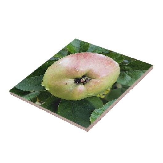 APPLE FLIESE (Seite)