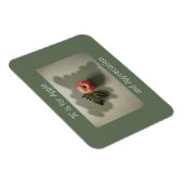 Apple for Teacher Appentiation Customizable Green Magnet (Rechte Seite)
