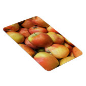 Apple Foto Magnet (Rechte Seite)