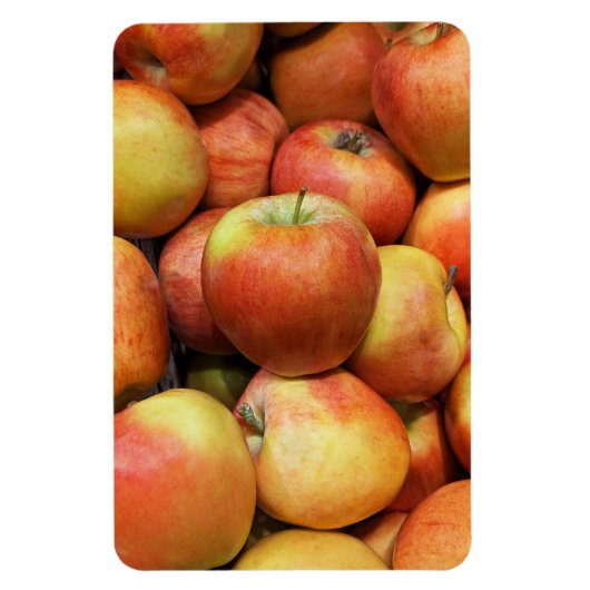 Apple Foto Magnet (Vertikal)