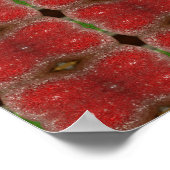 Apple Frost Poster (Ecke)