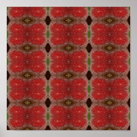 Apple Frost Poster (Vorne)