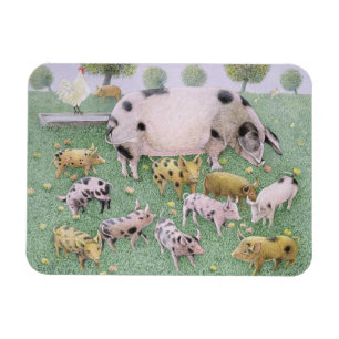 Apple genießen magnet